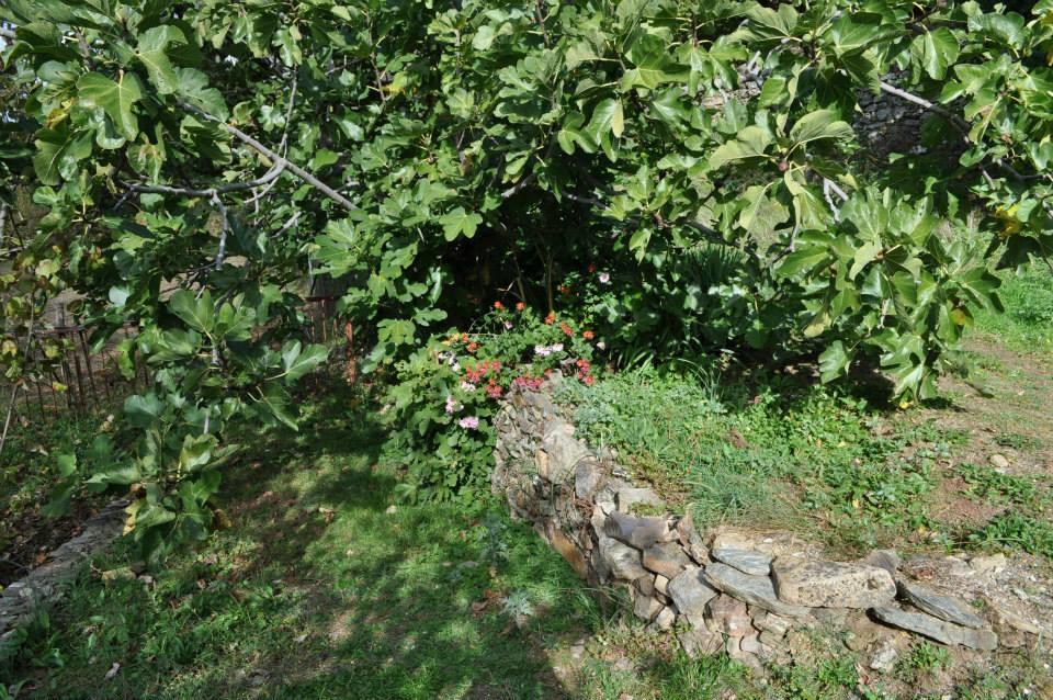 Mattale Villa Tonara Exterior foto